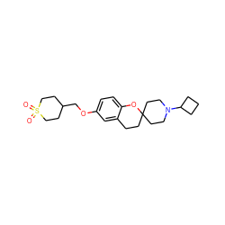 O=S1(=O)CCC(COc2ccc3c(c2)CCC2(CCN(C4CCC4)CC2)O3)CC1 ZINC000073223400