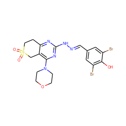 O=S1(=O)CCc2nc(N/N=C/c3cc(Br)c(O)c(Br)c3)nc(N3CCOCC3)c2C1 ZINC000299820906