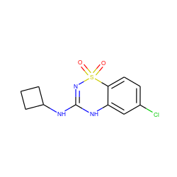 O=S1(=O)N=C(NC2CCC2)Nc2cc(Cl)ccc21 ZINC000045257896