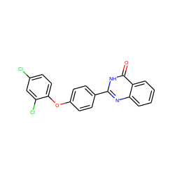 O=c1[nH]c(-c2ccc(Oc3ccc(Cl)cc3Cl)cc2)nc2ccccc12 ZINC001772575763