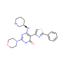 O=c1[nH]c(N2CCOCC2)nc(N[C@@H]2CCCNC2)c1-c1csc(-c2ccccc2)n1 ZINC000221553305