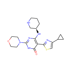 O=c1[nH]c(N2CCOCC2)nc(N[C@@H]2CCCNC2)c1-c1nc(C2CC2)cs1 ZINC001772653734