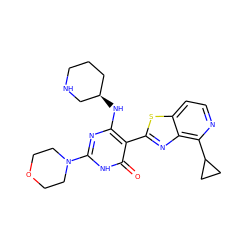 O=c1[nH]c(N2CCOCC2)nc(N[C@@H]2CCCNC2)c1-c1nc2c(C3CC3)nccc2s1 ZINC001772650595