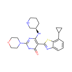 O=c1[nH]c(N2CCOCC2)nc(N[C@@H]2CCCNC2)c1-c1nc2cccc(C3CC3)c2s1 ZINC001772647338