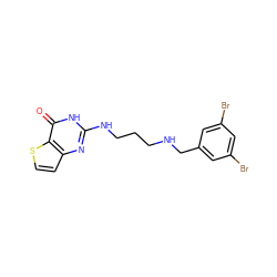 O=c1[nH]c(NCCCNCc2cc(Br)cc(Br)c2)nc2ccsc12 ZINC000028367022