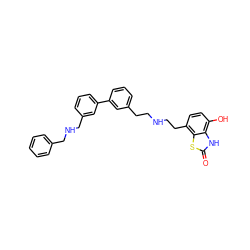 O=c1[nH]c2c(O)ccc(CCNCCc3cccc(-c4cccc(CNCc5ccccc5)c4)c3)c2s1 ZINC000082159895