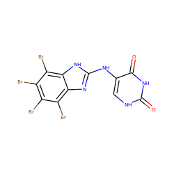 O=c1[nH]cc(Nc2nc3c(Br)c(Br)c(Br)c(Br)c3[nH]2)c(=O)[nH]1 ZINC000143569856