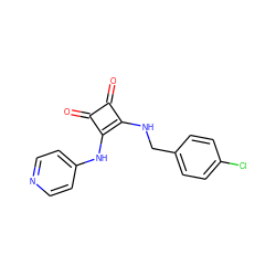 O=c1c(NCc2ccc(Cl)cc2)c(Nc2ccncc2)c1=O ZINC000102945575