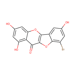 O=c1c2oc3c(Br)cc(O)cc3c2oc2cc(O)cc(O)c12 ZINC000013535733