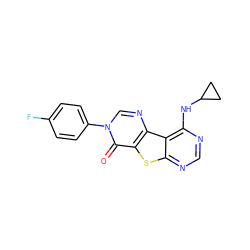 O=c1c2sc3ncnc(NC4CC4)c3c2ncn1-c1ccc(F)cc1 ZINC000095560226