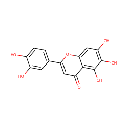 O=c1cc(-c2ccc(O)c(O)c2)oc2cc(O)c(O)c(O)c12 ZINC000006092198