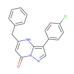 O=c1cc(Cc2ccccc2)[nH]c2c(-c3ccc(Cl)cc3)cnn12 ZINC000100715906