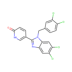 O=c1ccc(-c2nc3cc(Cl)c(Cl)cc3n2Cc2ccc(Cl)c(Cl)c2)c[nH]1 ZINC000008781673