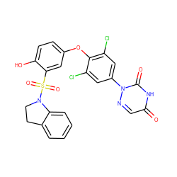 O=c1cnn(-c2cc(Cl)c(Oc3ccc(O)c(S(=O)(=O)N4CCc5ccccc54)c3)c(Cl)c2)c(=O)[nH]1 ZINC000028825802