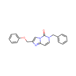 O=c1n(Cc2ccccc2)ccc2nc(COc3ccccc3)cn12 ZINC000204305229