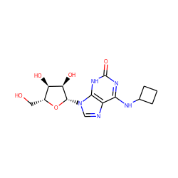 O=c1nc(NC2CCC2)c2ncn([C@@H]3O[C@H](CO)[C@@H](O)[C@H]3O)c2[nH]1 ZINC000038883726