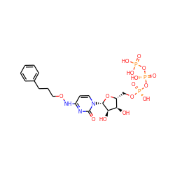 O=c1nc(NOCCCc2ccccc2)ccn1[C@@H]1O[C@H](CO[P@@](=O)(O)O[P@@](=O)(O)OP(=O)(O)O)[C@@H](O)[C@H]1O ZINC000071294960