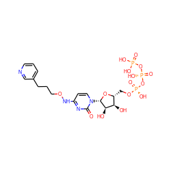 O=c1nc(NOCCCc2cccnc2)ccn1[C@@H]1O[C@H](CO[P@@](=O)(O)O[P@@](=O)(O)OP(=O)(O)O)[C@@H](O)[C@H]1O ZINC000169340951