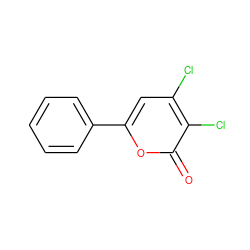 O=c1oc(-c2ccccc2)cc(Cl)c1Cl ZINC000000308424