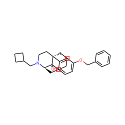 O[C@@]12CCCC[C@@]13CCN(CC1CCC1)[C@@H]2Cc1ccc(OCc2ccccc2)cc13 ZINC000040425158