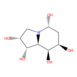 O[C@H]1[C@H]2[C@H](O)[C@H](O)CN2[C@H](O)C[C@H]1O ZINC000014616443