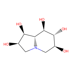 O[C@H]1CN2C[C@@H](O)[C@@H](O)[C@@H]2[C@@H](O)[C@@H]1O ZINC000014616448