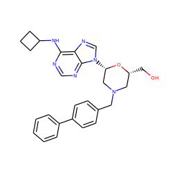 OC[C@@H]1CN(Cc2ccc(-c3ccccc3)cc2)C[C@H](n2cnc3c(NC4CCC4)ncnc32)O1 ZINC000061929659