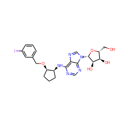 OC[C@H]1O[C@@H](n2cnc3c(N[C@H]4CCC[C@H]4OCc4cccc(I)c4)ncnc32)[C@H](O)[C@@H]1O ZINC000096169103