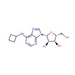 OC[C@H]1O[C@@H](n2cnc3c(NC4CCC4)ncnc32)[C@H](O)[C@@H]1O ZINC000013804187