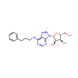 OC[C@H]1O[C@@H](n2cnc3c(NCCCc4ccccc4)ncnc32)[C@H](O)[C@@H]1O ZINC000012405457