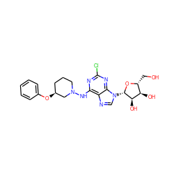 OC[C@H]1O[C@@H](n2cnc3c(NN4CCC[C@H](Oc5ccccc5)C4)nc(Cl)nc32)[C@H](O)[C@@H]1O ZINC000003930504