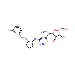 OC[C@H]1O[C@H](n2cnc3c(N[C@H]4CCC[C@@H]4OCc4cccc(I)c4)ncnc32)[C@H](O)[C@@H]1O ZINC000096169083