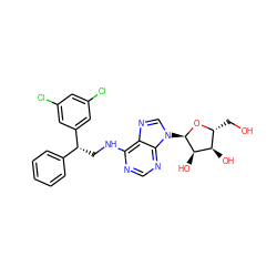 OC[C@H]1O[C@H](n2cnc3c(NC[C@H](c4ccccc4)c4cc(Cl)cc(Cl)c4)ncnc32)[C@H](O)[C@@H]1O ZINC000048999621