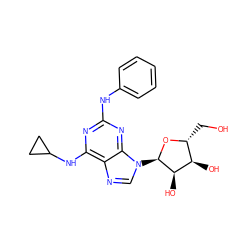 OC[C@H]1O[C@H](n2cnc3c(NC4CC4)nc(Nc4ccccc4)nc32)[C@H](O)[C@@H]1O ZINC000048995416