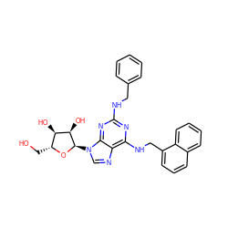 OC[C@H]1O[C@H](n2cnc3c(NCc4cccc5ccccc45)nc(NCc4ccccc4)nc32)[C@H](O)[C@@H]1O ZINC000049802313