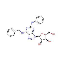 OC[C@H]1O[C@H](n2cnc3c(NCc4ccccc4)nc(Nc4ccccc4)nc32)[C@H](O)[C@@H]1O ZINC000048999237