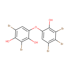 Oc1c(Br)cc(Oc2cc(Br)c(Br)c(Br)c2O)c(O)c1Br ZINC000027560100