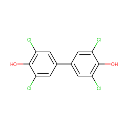 Oc1c(Cl)cc(-c2cc(Cl)c(O)c(Cl)c2)cc1Cl ZINC000000294550