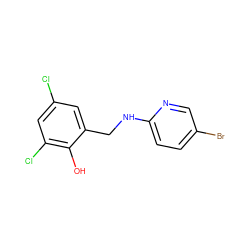 Oc1c(Cl)cc(Cl)cc1CNc1ccc(Br)cn1 ZINC000020191359