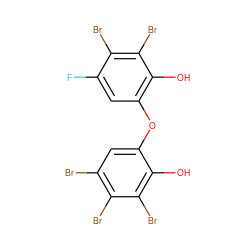 Oc1c(Oc2cc(Br)c(Br)c(Br)c2O)cc(F)c(Br)c1Br ZINC000027564214