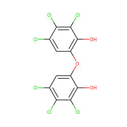 Oc1c(Oc2cc(Cl)c(Cl)c(Cl)c2O)cc(Cl)c(Cl)c1Cl ZINC000013529721