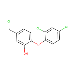 Oc1cc(CCl)ccc1Oc1ccc(Cl)cc1Cl ZINC000028869356