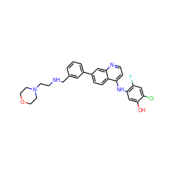 Oc1cc(Nc2ccnc3cc(-c4cccc(CNCCN5CCOCC5)c4)ccc23)c(F)cc1Cl ZINC000028823951