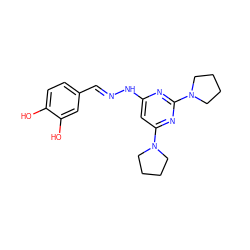 Oc1ccc(/C=N/Nc2cc(N3CCCC3)nc(N3CCCC3)n2)cc1O ZINC000004662625