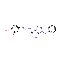 Oc1ccc(/C=N/Nc2ncnc3c2ncn3Cc2ccccc2)cc1O ZINC000005443411