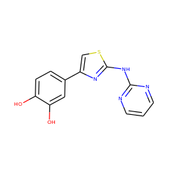 Oc1ccc(-c2csc(Nc3ncccn3)n2)cc1O ZINC000000202220