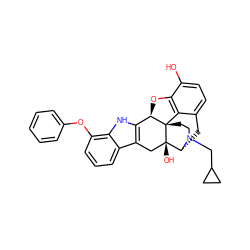 Oc1ccc2c3c1O[C@@H]1c4[nH]c5c(Oc6ccccc6)cccc5c4C[C@@]4(O)[C@@H](C2)N(CC2CC2)CC[C@]314 ZINC000026729833