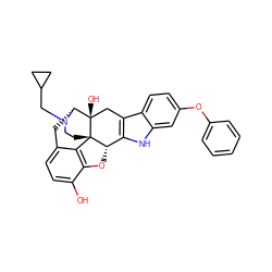 Oc1ccc2c3c1O[C@H]1c4[nH]c5cc(Oc6ccccc6)ccc5c4C[C@@]4(O)[C@@H](C2)N(CC2CC2)CC[C@]314 ZINC000013780469