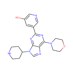 Oc1cncc(-c2nc(N3CCOCC3)c3ncn(C4CCNCC4)c3n2)c1 ZINC000043204094