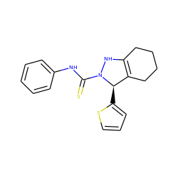 S=C(Nc1ccccc1)N1NC2=C(CCCC2)[C@H]1c1cccs1 ZINC000045349811